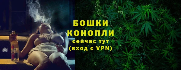 PSILOCYBIN Вязьма